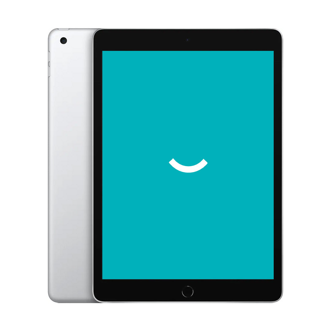iPad 9 (2021) - 256GB - 4G - Zilver