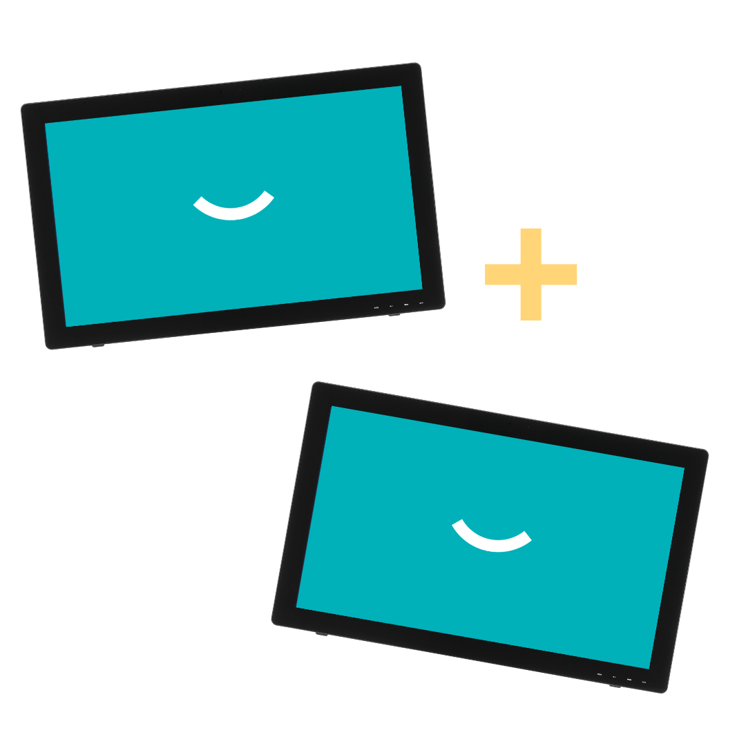 iiyama ProLite T2735M Touchscreen 2X - SPECIAL OFFER