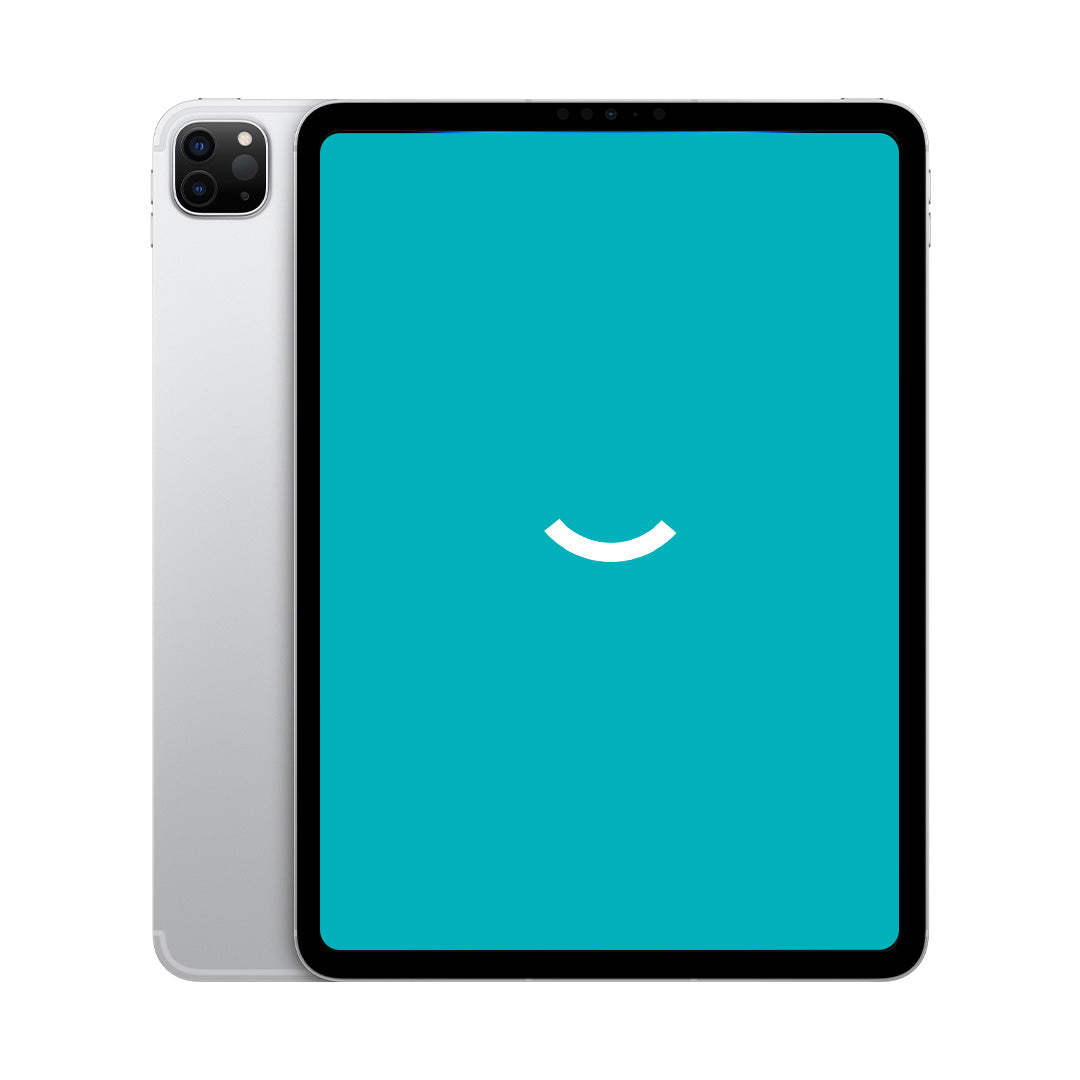 iPad Pro 11" 4e génération (2022) | 256 Go | Wi-Fi + 5G | Argent