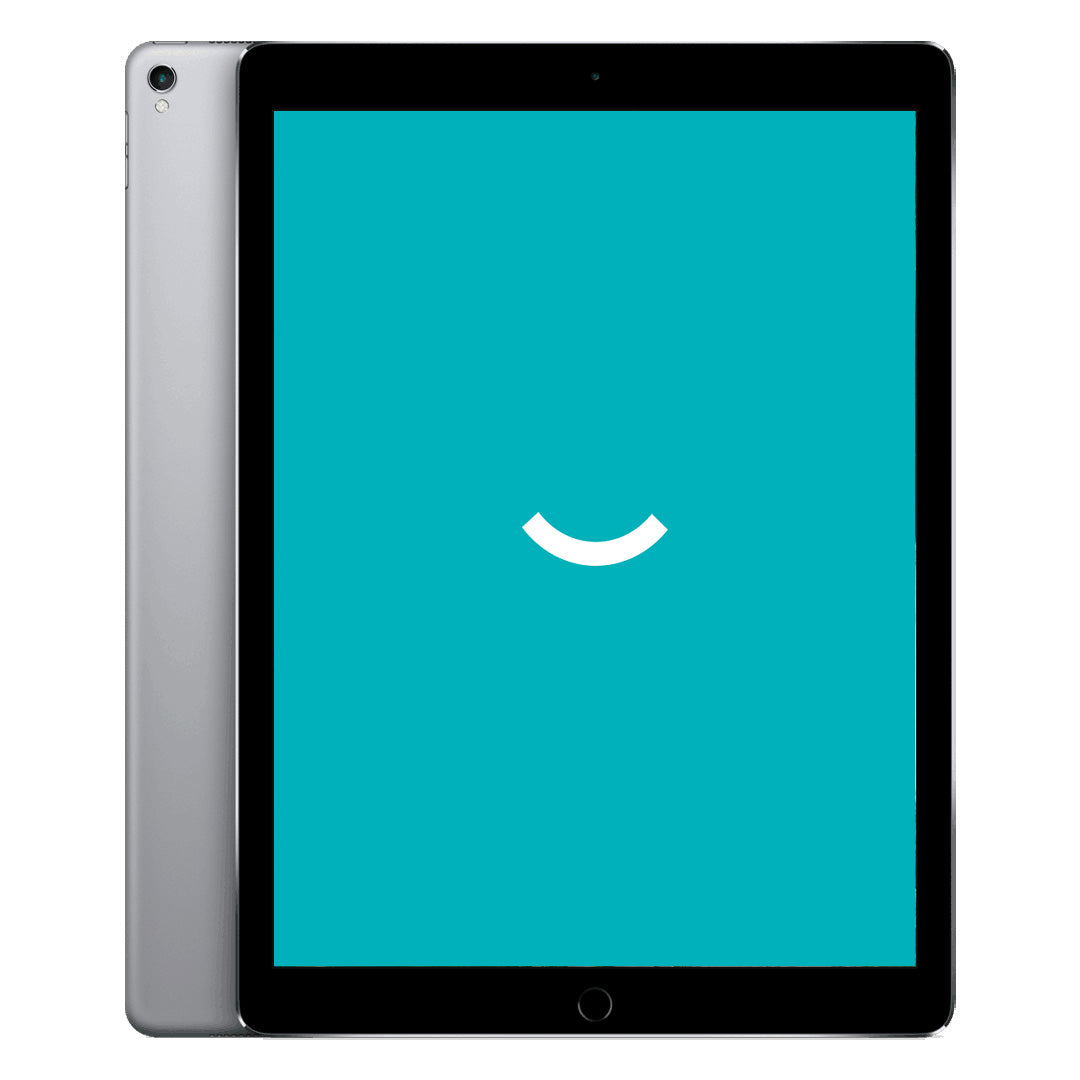 iPad Pro 12,9" (2017) - WLAN + 4G - 256 GB - Spacegrijs