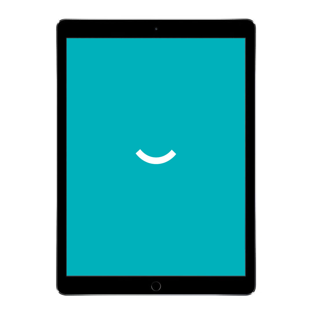 iPad Pro 12,9" (2015) - WLAN + 4G - 128 GB - Spacegrau
