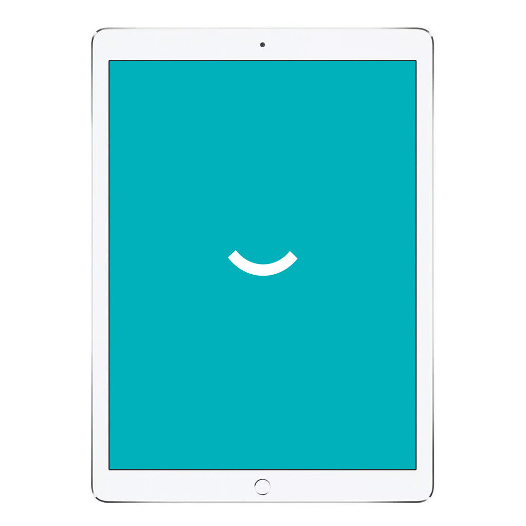 iPad Pro 12.9" (2015) - Wi-Fi + 4G - 128GB - Zilver
