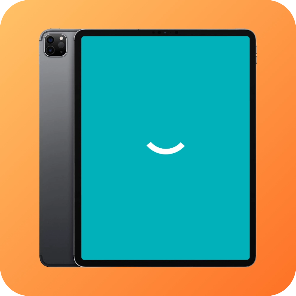 Refurbished iPad Pro (2020) 12.9" 256GB - Grijs - Autumn Deals - Productfoto 1 - Back in Use